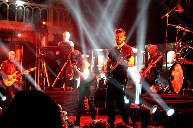 Den Adel performing with Within Temptation in 2011