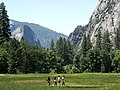 Yosemite Park Tourists.jpg