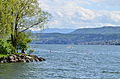 Zimmerberg - Zürichsee in Zürich - Zürichhorn - Tiefenbrunnen 2015-05-06 15-43-06.JPG