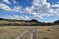 * Nomination Dirt road in Jusandala state reserve zone, Kazakhstan. By User:AlyonaKaptyonkina --Красный 07:21, 16 July 2024 (UTC) * Promotion  Support Good quality. --C messier 21:33, 23 July 2024 (UTC)