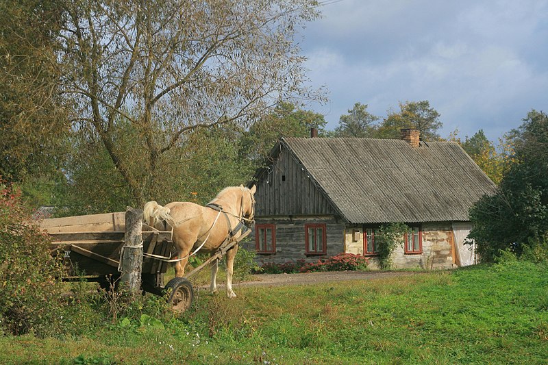 File:Линки, Belarus - panoramio.jpg
