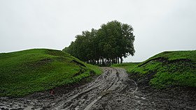 Xian din Kedong