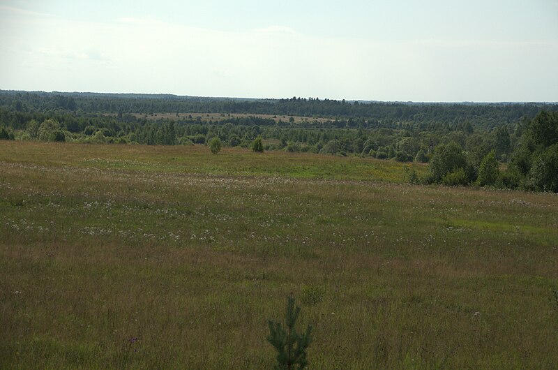 File:0137 August 2016 in Tver Oblast Russia.jpg