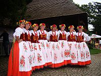 07674 Polonia Czechy slaski kostium 1.jpg