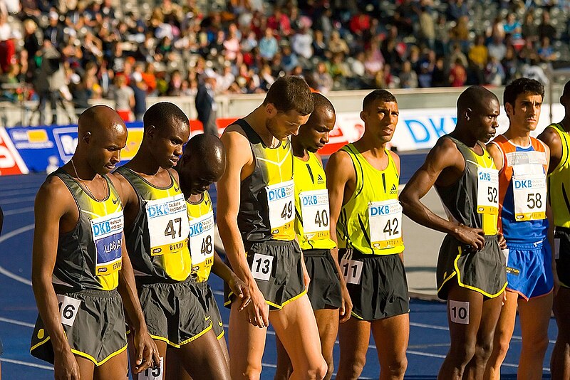 File:1500m Lagat Komen (2349787035).jpg