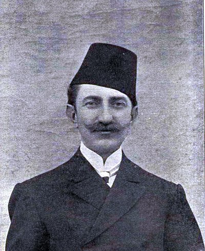 Mehmed Ziyaeddin Efendi