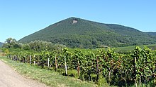 View of the Blättersberg from Burrweiler