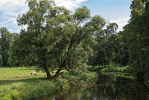 2016 Rzeka Bóbr w Wojanowie.jpg