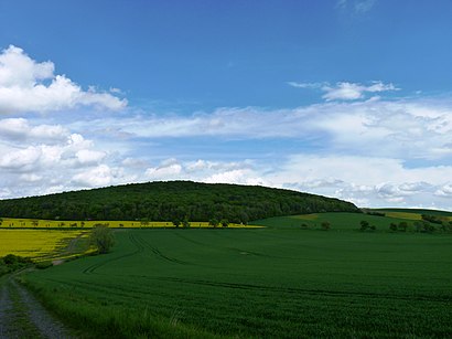 Jak do Skalky U Třebutiček hromadnou dopravou - O místě