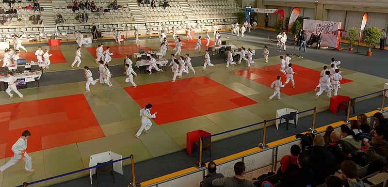 File:2018-01-13 10-18-16 tournoi-judo-belfort.jpg