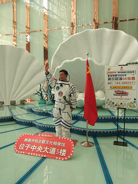 File:2018 family-made pictures rocking Jason very much - The first space-hero of China Yang Liwei.jpg