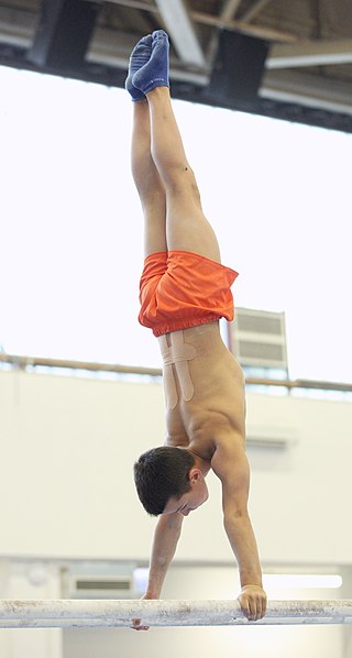 File:2019-05-24 Budapest Cup training parallel bars (Martin Rulsch) 143.jpg
