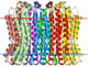 ATPase V