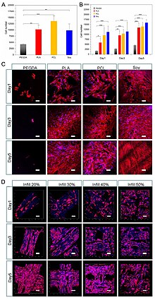 Miao et al. Parts A, B, and C indicate cell growth on the soy scaffold compared to different materials. Part D indicates cell growth on differing infill densities within the soy scaffold. 4D printed soy resin.jpg