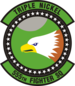 555th Fighter Squadron.png