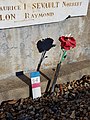 Rose du Souvenir français (monument du cimetière).