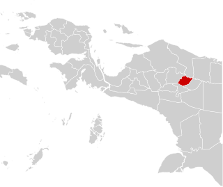 Central Mamberamo Regency Regency in Papua, Indonesia