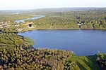 Miniatura para Bosques de Silkeborg