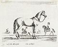 A Horse LACMA M.83.318.6.jpg