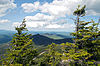 Evergreens, mountains and clouds