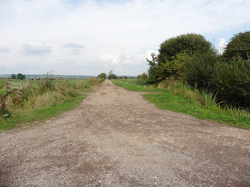 File:Ackland's Drove - geograph.org.uk - 5128089.jpg