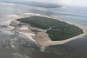 Mellum and mudflats in front of it from the northeast