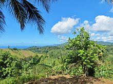 Agricultural landscape of Mayotte, containing most of the typical crops: coconut trees, bananas, breadfruit, papaya tree, mango trees, and manioc Agropaysage mahorais.jpg