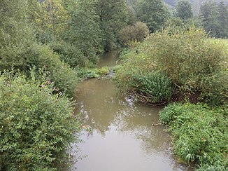 The Ailsbach at the Behringersmühle