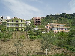 Residential houses in Rrashbull