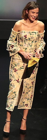 Chung presenting an award at the 2015 British Fashion Awards