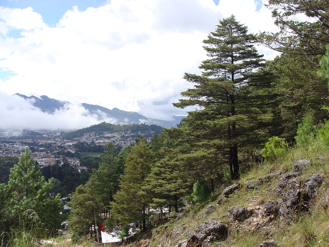 Chiapas Highlands