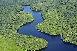 Meandros no Rio Amazonas