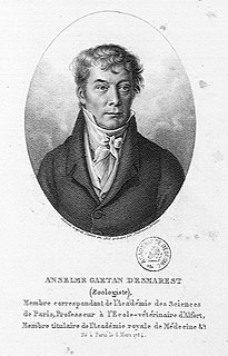 <span class="mw-page-title-main">Anselme Gaëtan Desmarest</span> French zoologist