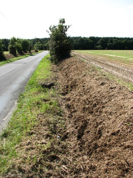 File:Approaching Lord Anson's Wood from the north on Skeyton Road - geograph.org.uk - 538596.jpg