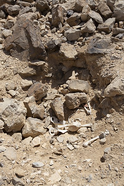 File:Archaeological looting in Jordan (5).jpg