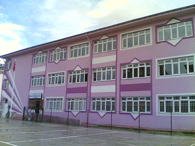 File:Arifnihatasyalisesi.jpg