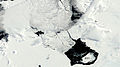 B31 iceberg NASA photo.jpg