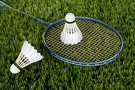 Badminton