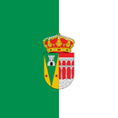 Vlag van Valdeprados