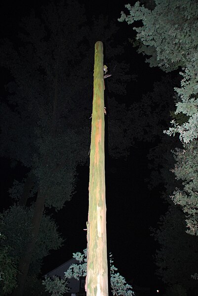 File:Bannermast1.jpg