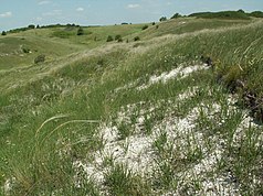 Steppe in the subarea Barkalovka