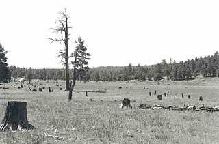 <span class="mw-page-title-main">Barney Flat Historic Railroad Logging Landscape</span> United States historic place