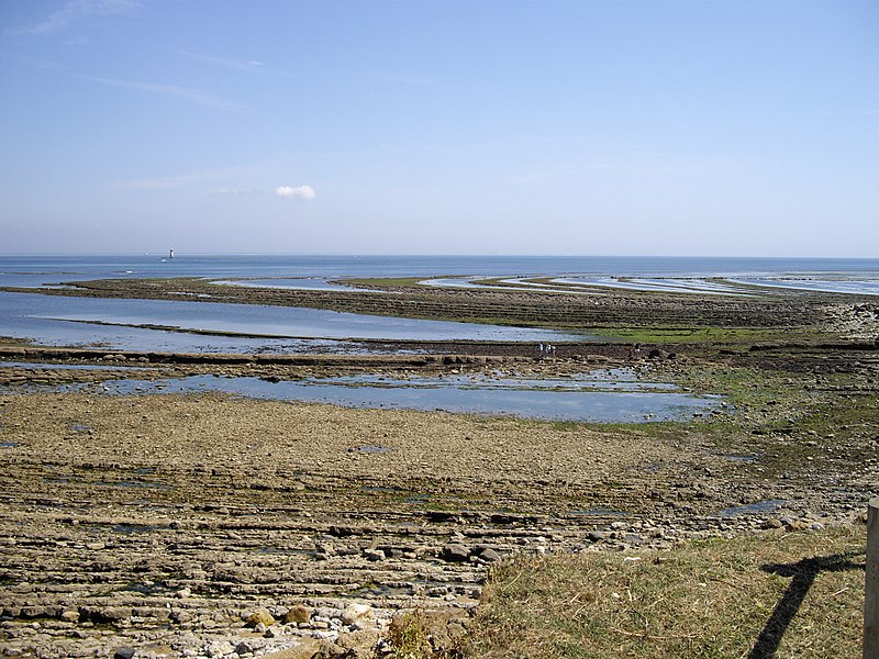 File:Basse mer Pertuis d'Antioche.JPG