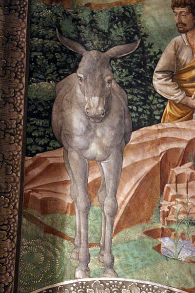 File:Benozzo gozzoli, pastori, 1459, 07 asino in scorcio.JPG