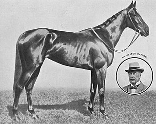 Bettina (horse) British Thoroughbred racehorse