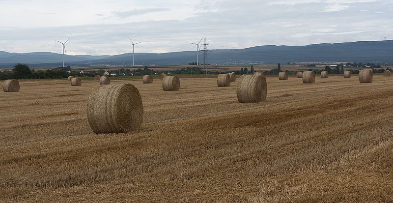 File:Bij Assenheim, panorama foto5 2016-08-10 13.16.jpg