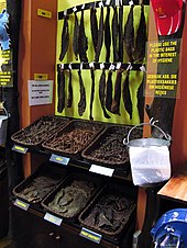 A display in a shop that sells biltong, Johannesburg Biltongshop.jpg