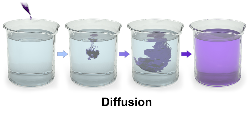 File:Blausen 0315 Diffusion.png