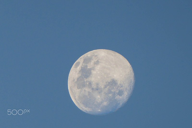 File:Blue Moon (163547957).jpeg