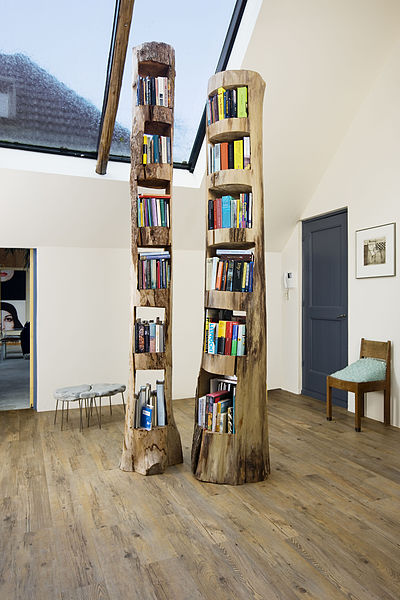 File:Boekenboom groot.jpg